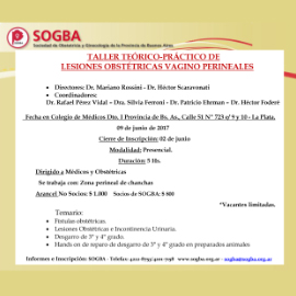 Taller Terico -Prctico de Lesiones Obsttricas y Vagino Perineales